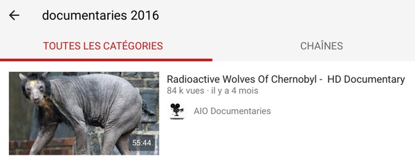 Somehow I was looking for a documentary of this year ... - My, Bear, Bald, , Chernobyl, Funny, The Bears