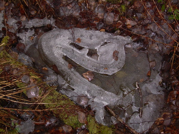 Гримаса зимы