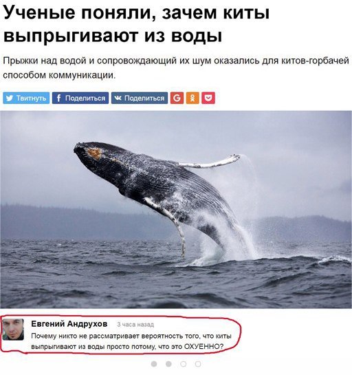 Really - Whale, Screenshot, Comments, Mat