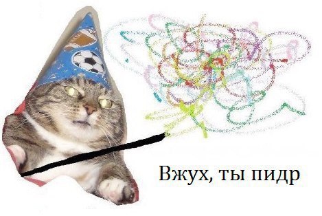 Wow wow wow? - Vzhuh, cat, cat magician, Magic, Start