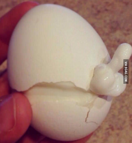 Testicle - Eggs, , 9GAG, Question