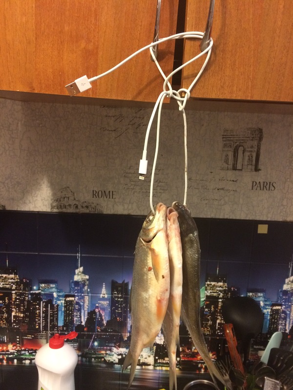 ����� ������� ���������� ���������� �������� ��� ������.