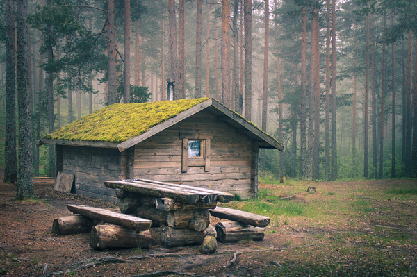 Away from the bustle - My, Forest, Hut, Pine Forest, Leningrad region, Ecohotel, Canon