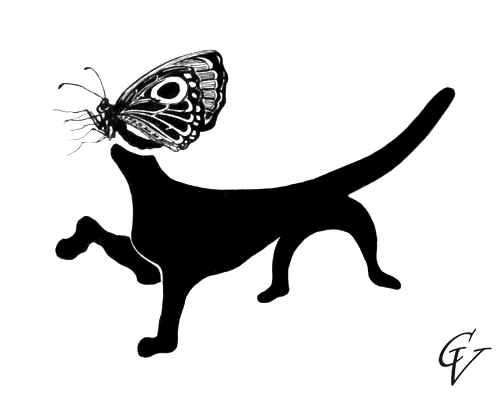 CAT BUTTERFLY. Gel pen, paper. - My, cat, Graphics, Drawing