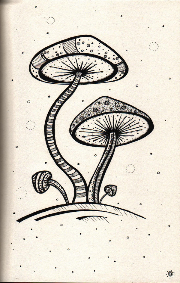 Mushrooms - Creation, Mushrooms, Pen drawing, Drawing, My