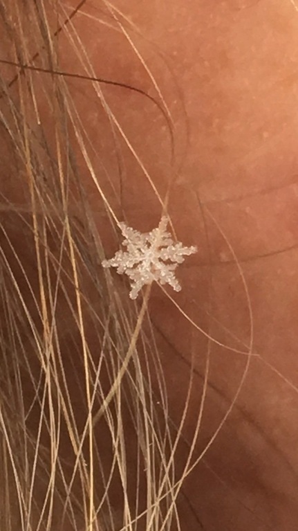 Here is such a perfect snowflake fell on the girl's hair - Not mine, Snowflake, Perfect shape, Photo, Winter