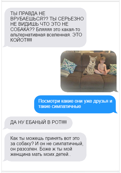 Девушка спасла койота думая что это собака. Смотреть фото Девушка спасла койота думая что это собака. Смотреть картинку Девушка спасла койота думая что это собака. Картинка про Девушка спасла койота думая что это собака. Фото Девушка спасла койота думая что это собака