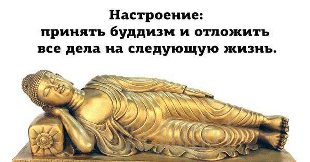 Буддийский юмор вк
