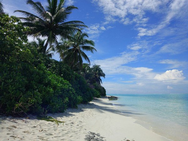 Maldives, Thoddoo Island - Maldives, My, Travels, Bounty, Nature