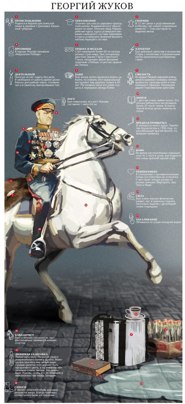 Georgy Zhukov - Infographics, Georgy Zhukov, The Great Patriotic War