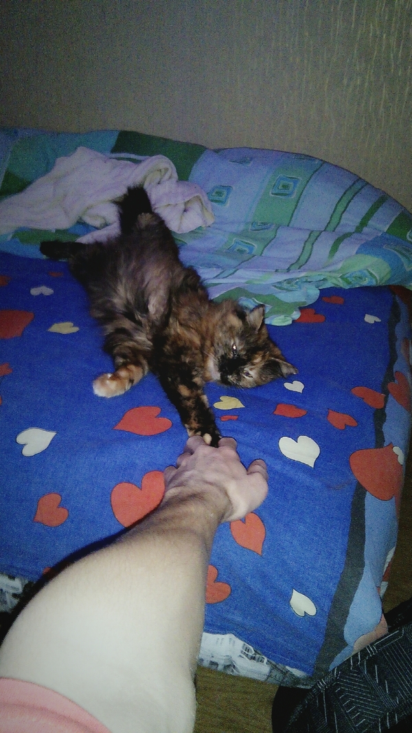 Сотворение