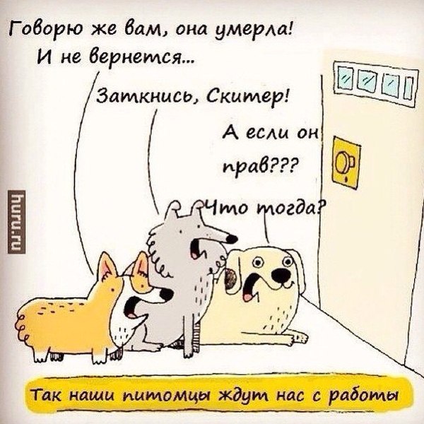 Ожидание... | Пикабу