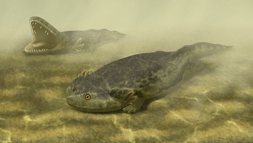 A selection of strange extinct amphibians - My, Amphibian, Paleontology, Longpost, , The science, Nature, Extinct species