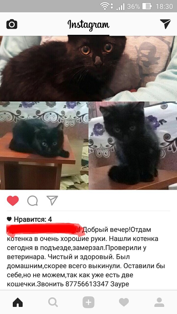 Пикабушники Астаны, нужна ваша помощь!