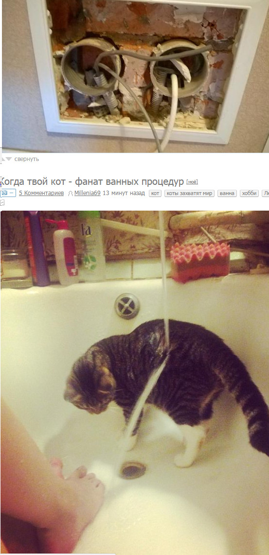 Even coincided - cat, ribbon, Coincidence, Not mine, Bath, Repair, Partly, Washing