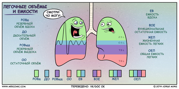 Lung volumes and capacities - Pulmonology, The medicine, Therapy, Medical student, Comics, Breath