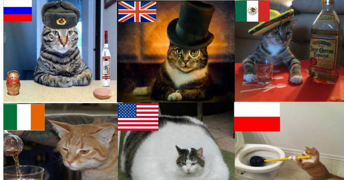 Country cats, Украина, Кот, 9GAG, Политика.