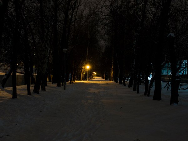 A bit of winter atmosphere - My, Winter, The park, Olympus, I want criticism