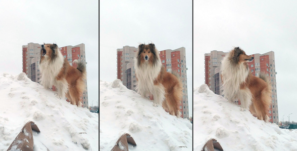 ����� �����! ��� ����? � �� ����.