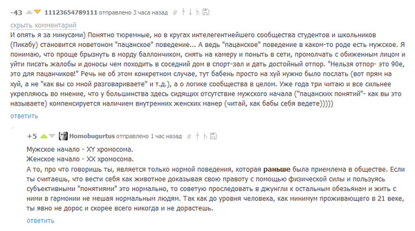 Прекрасный комментарий про «мужское начало» и настоящую цивилизованность - Не мое, Комментарии, Цивилизованность