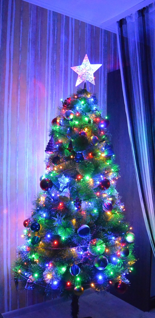 Just a tree - My, Christmas trees, New Year, Mood, My