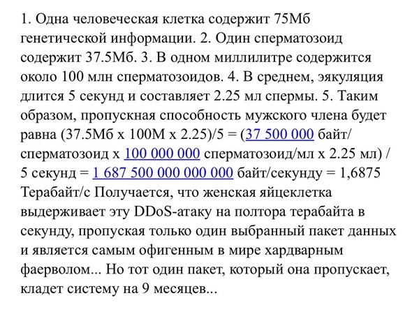 DDoS-�����