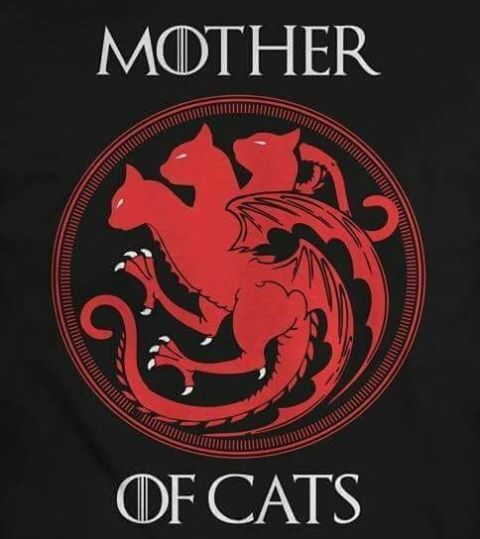 Dedicated to all the strong and independent Khaleesi) - Game of Thrones, Art, cat, Mother of dragons, Strong and independent