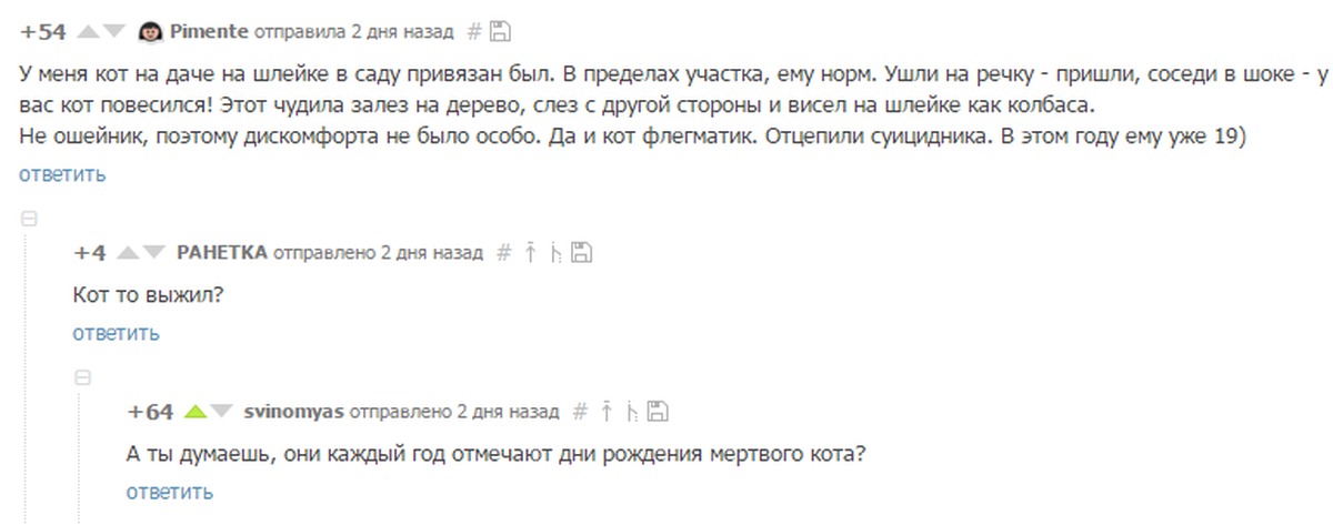 Комментарии пользователей. Соседи в шоке. Соседи в шоке текст. Песня соседи в шоке. Песня соседи в шоке текст.