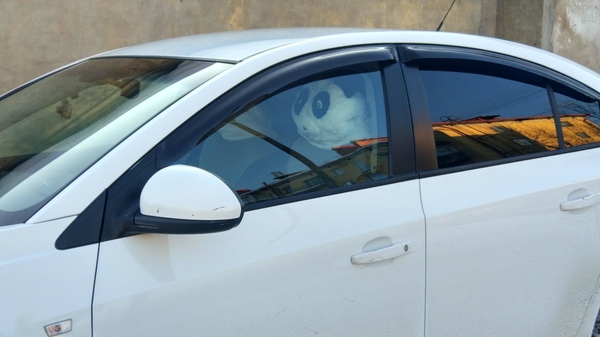 I had the same look when I first got behind the wheel ... - My, Car, Panda, , Sight