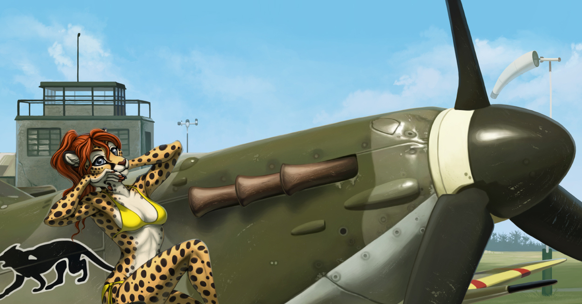 Rule 34 furry. Самолет r34. Furry War Thunder. Вар Тандер рул 34. Фурии самолеты.