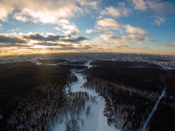Rzhevsky forest park from a bird's eye view (06.12.2016) - My, Quadcopter, Saint Petersburg, Photo, Drone, Rzhevsky forest park, Forest, Longpost