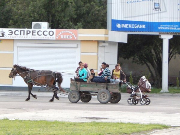 TYGYDYK))) - Gypsies, I hate fucking gypsies, Horses, Stroller, , Theft