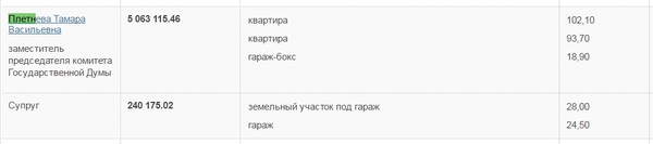 About Pletnev - My, Deputies, , Anna Pletneva, State Duma, Husband, Politics
