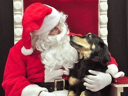 ����� �� �� ��� ������� ��������� � ��������� ����