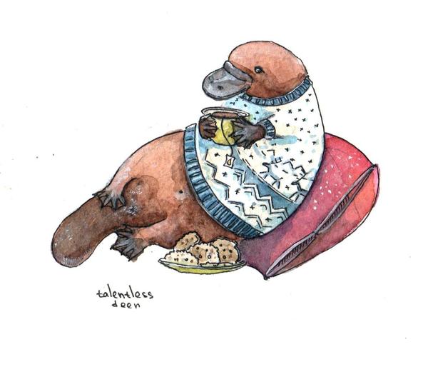 platypus - My, Platypus, Art, Illustrations, Winter, Heat, Cosiness, Drawing, Watercolor, Platypuses