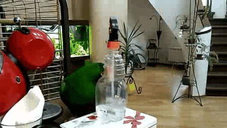 "  ", : "   " ,  , , , 