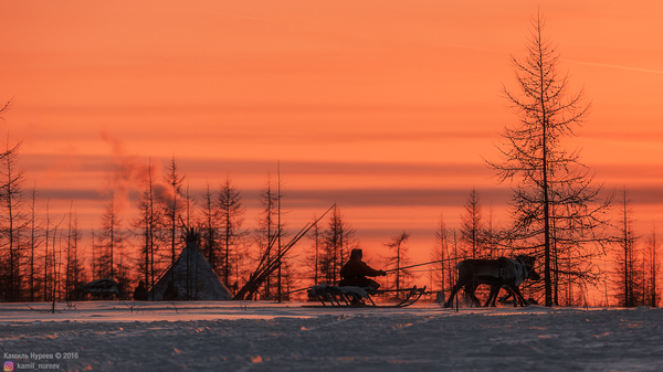 Sunset at the reindeer herders camp - My, My, Russia, Sunset, Landscape, Canon, Yamal, Chum, Tundra