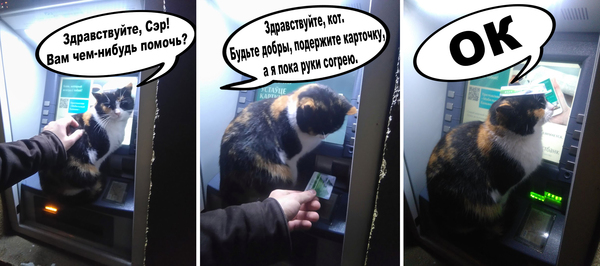 Service - My, cat, Grodno, Republic of Belarus, ATM