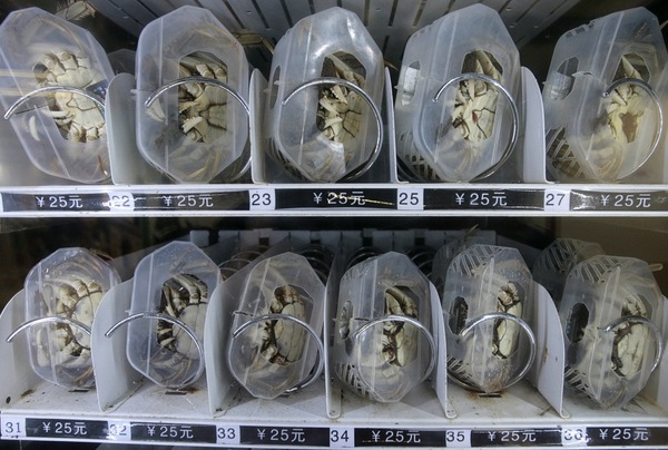 Crab vending machine - China, Metro, Nanking, Ilya Varlamov, Crab, Machine