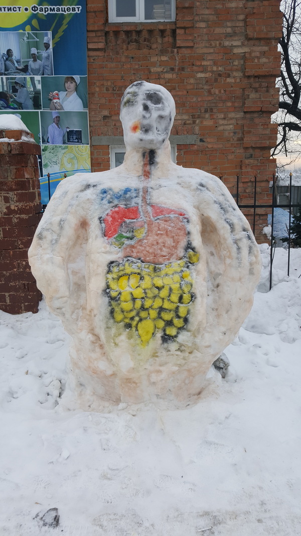 snowman anatomy - My, snowman, The medicine, Anatomy