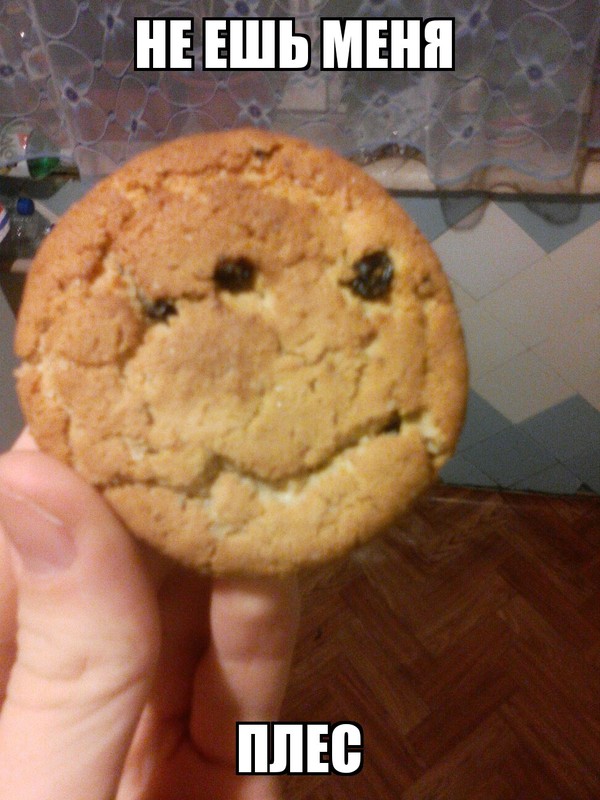 Cookie)) - My, Face, Humor, Cookies, Pareidolia