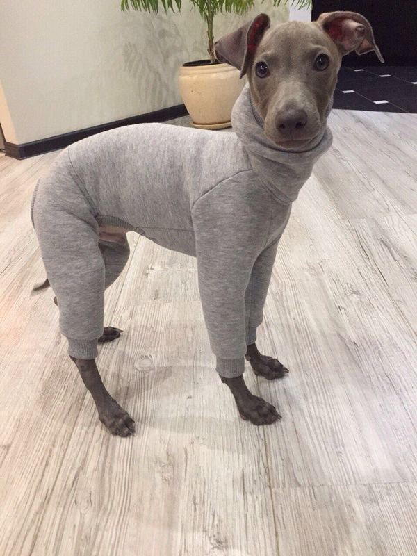 Записки начинающего дизайнера