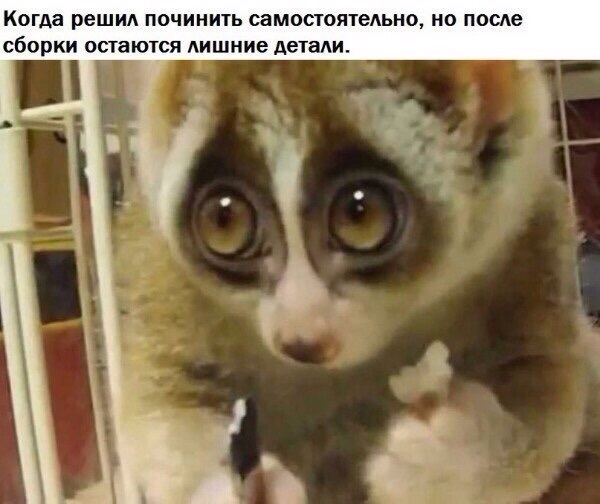 Ну как так-то... | Пикабу