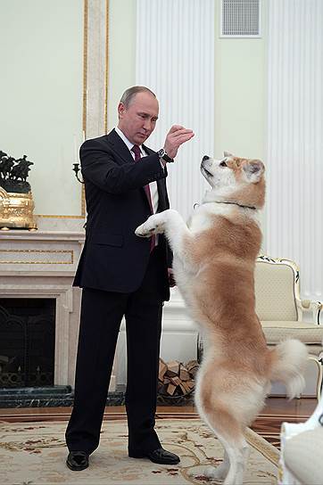 Putin and the Japanese dog - Vladimir Putin, Dog, Politics, The president, Japan, Longpost