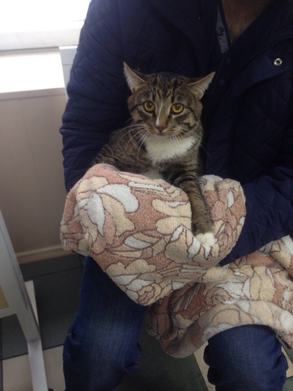 �, ��� �����!