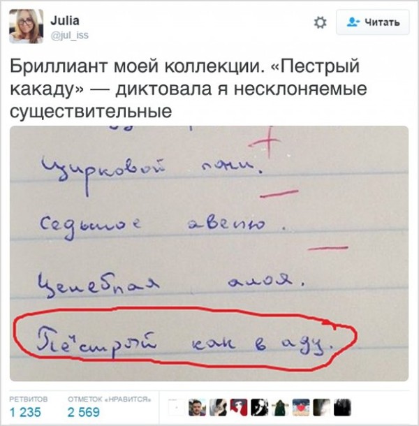 Пёстрый какаду. - Дети, Учитель, Какаду, Диктант, Twitter