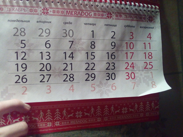 Нового года не будет!