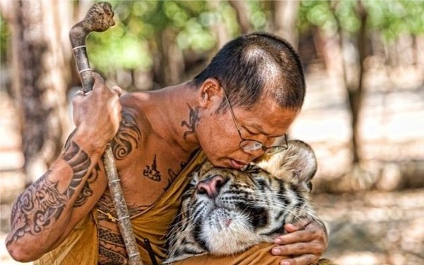 �������� ���������