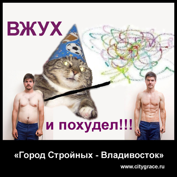 ВЖУХ... и похудел!!!  Без диет и спортзала)) - Моё, Вжух, Владивосток, Похудение, Кот, Котвжух