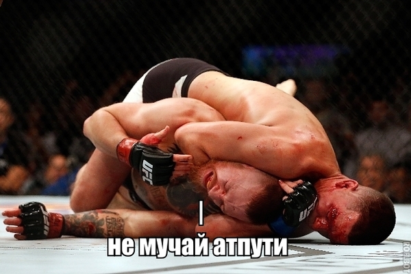 Do not torture - NSFW, My, MMA, Ufc, Memes